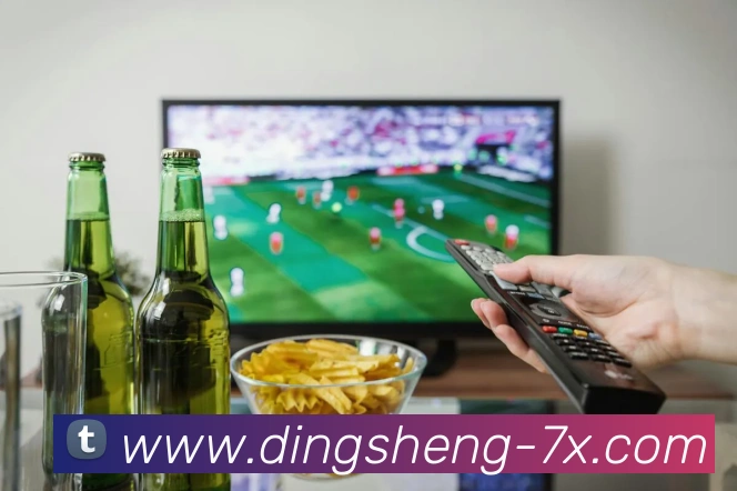 鼎盛娱乐服务体系
